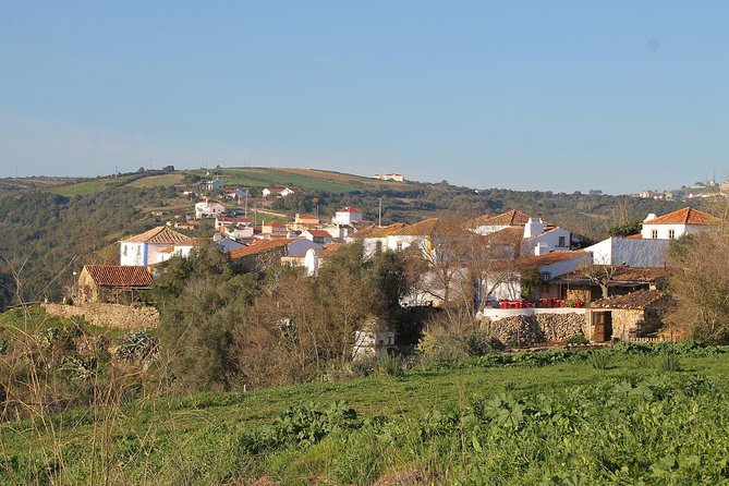 Lisbon Northern Region Wine Tasting Private Tour - Artisanal Tastings