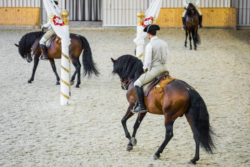 Lisbon: Portuguese Riding School Trainig With Lusitano Horse - Customer Reviews