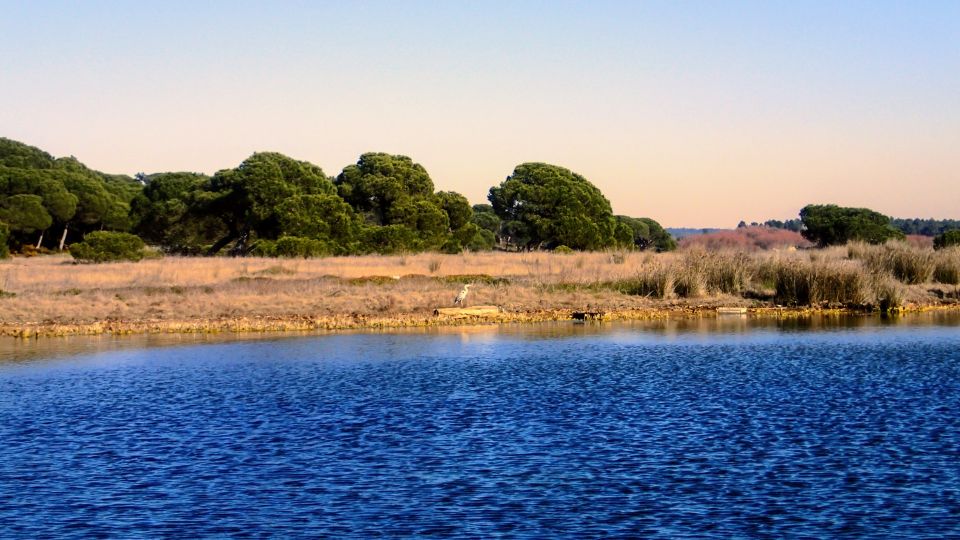 Lisbon: Stand Up Paddle Adventure at Albufeira Lagoon - What to Expect on the Lagoon