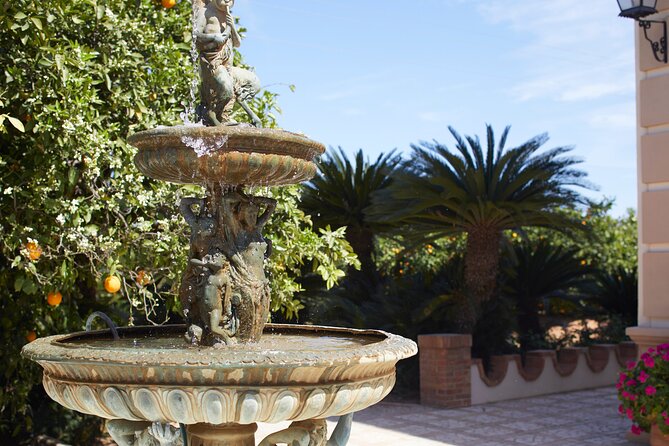 Live an Experience Among Orange Trees in Huerto Ribera - On-site Parking Available