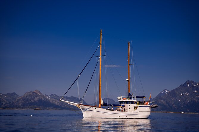 Lofoten Islands Luxury Trollfjord Cruise With Lunch From Svolvær - Accessibility and Participation