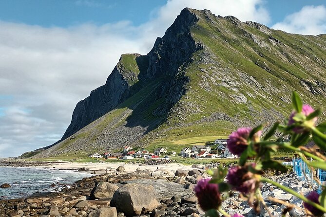 Lofoten PRIVATE Tour From Leknes - Small Group (1-4 Pax) - Traveler Reviews