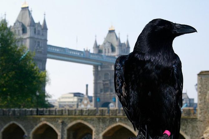 London Private Walking Tour: The Tower of London and Tower Bridge - Historical Executions on Tower Green