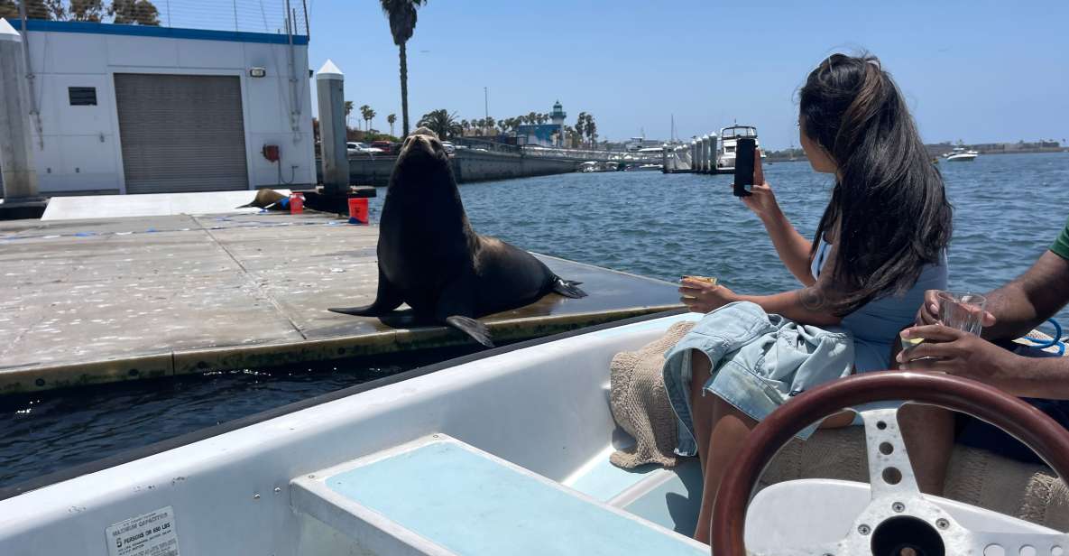 Los Angeles: Marina Del Rey BYOB Cruise - Wildlife Encounters