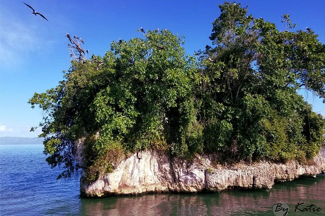 Los Haitises & Cayo Levantado (Lunch Included, From Samana in Catamaran or Boat) - Exploring Cayo Levantado and Los Haitises