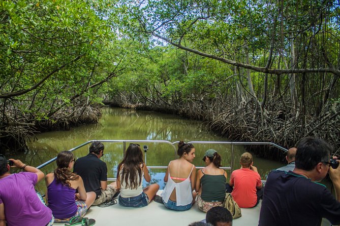 Los Haitises National Park With Montana Redonda, River and Lunch From Punta Cana - Inclusions and Amenities