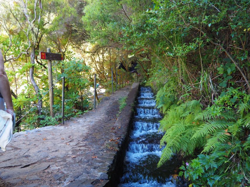 Madeira: 25 Fontes and Risco Levada Hike With Transfers - Customer Feedback