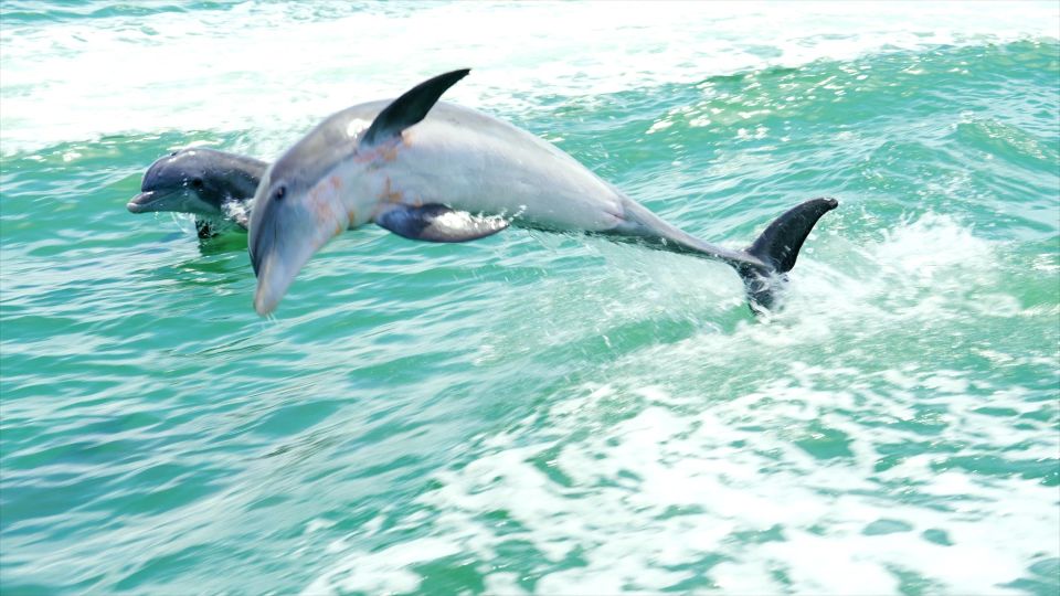 Madeira Beach: Sightseeing Cruise to Johns Pass With Guide - Not Allowed on the Tour