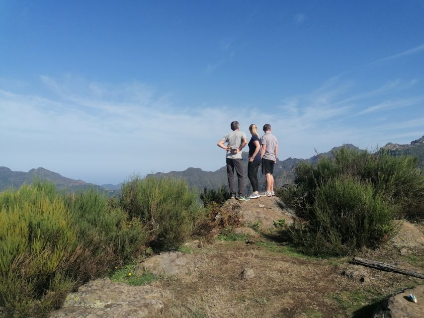 Madeira: Half-Day Off-Road Buggy Tour - Cabo Girão Seacliff