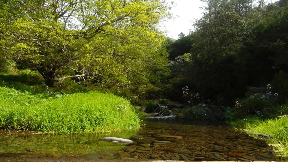 Madeira: Levada Calheta to Prazeres Private Walking Tour - Tour Difficulty and Distance