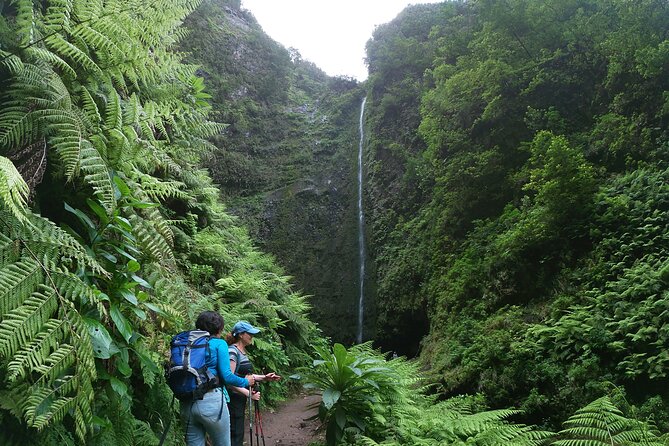 Madeira Levada Walk - Caldeirao Verde - Cancellation Policy and Minimum Travelers