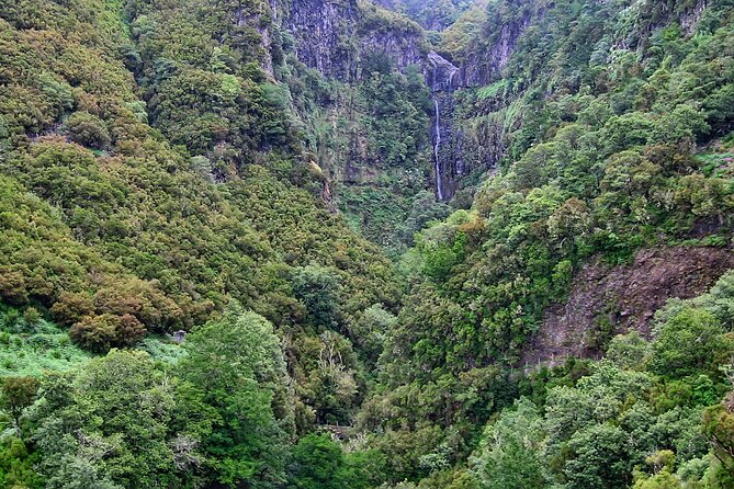 Madeira Levada Walk - Rabacal Lakes and Fountains - Cancellation Policy