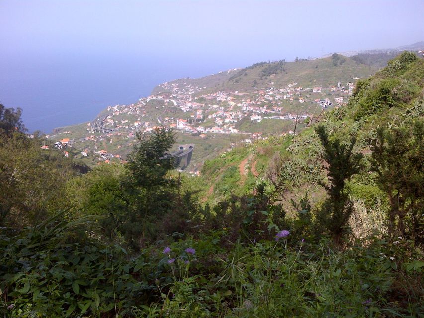 Madeira: Levado Do Norte 2-Hour Hiking Tour - Tour Duration and Distance