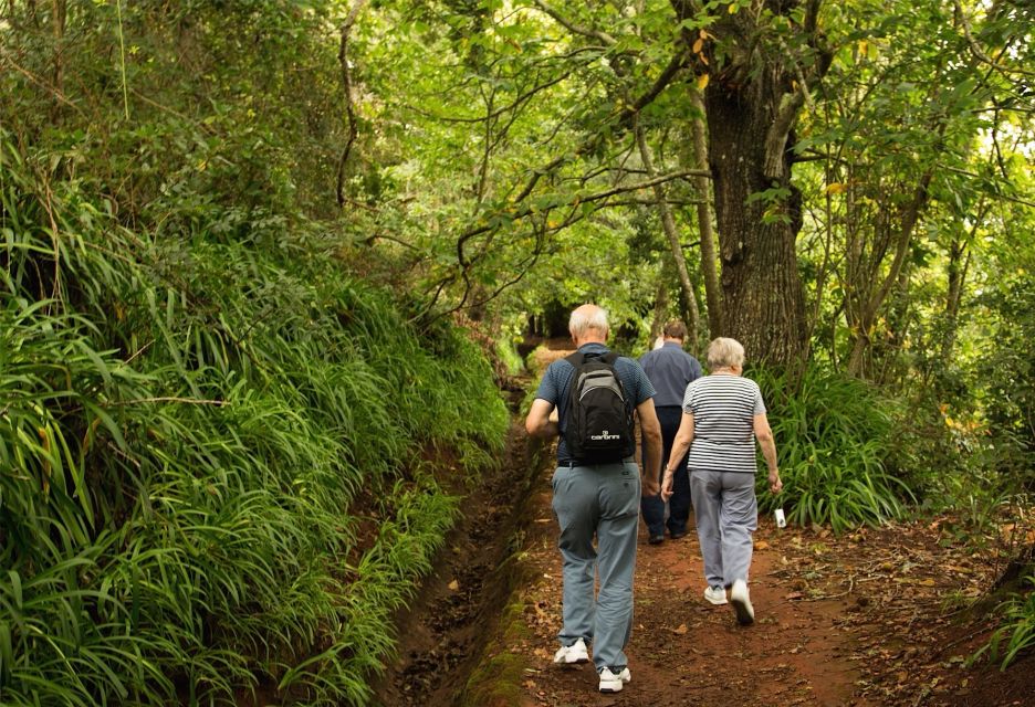 Madeira: Mini-Combo East Challenge: Jeep Safari + Levada - Visiting Uptown and Remote Areas