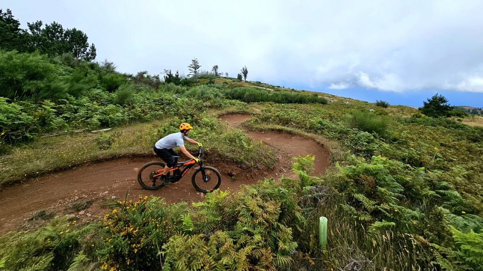 Madeira - Mountain Biking Tour - Difficulty Customization