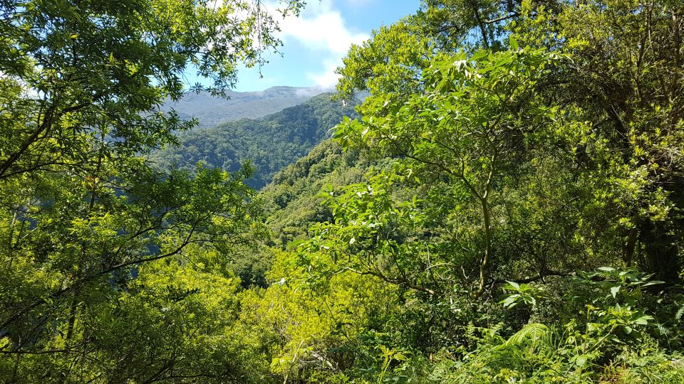 Madeira: Private Guided Levada Do Rei Walk PR18 - Recommended Attire and Gear