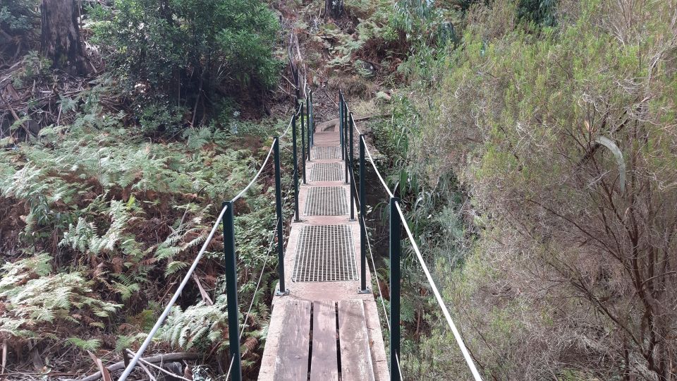 Madeira: Private Levada Ponta Do Pargo Walk - Physical Fitness Requirement