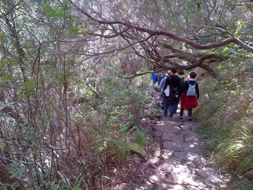 Madeira: Rabaçal Valleys 3-Hour Guided Walk - Highlights of the Experience