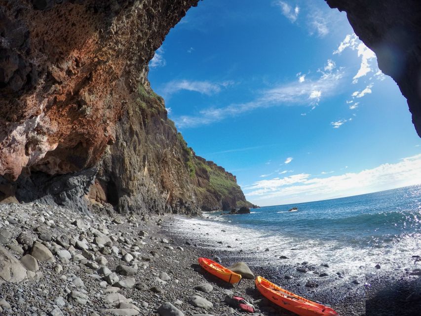 Madeiras Marine Reserve: Kayak & Snorkelling Trip - Marine Life Encounters