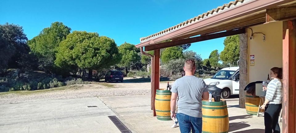 Madrid: Visit Two Wineries Close to the City Centre - Winemaking History of Madrid