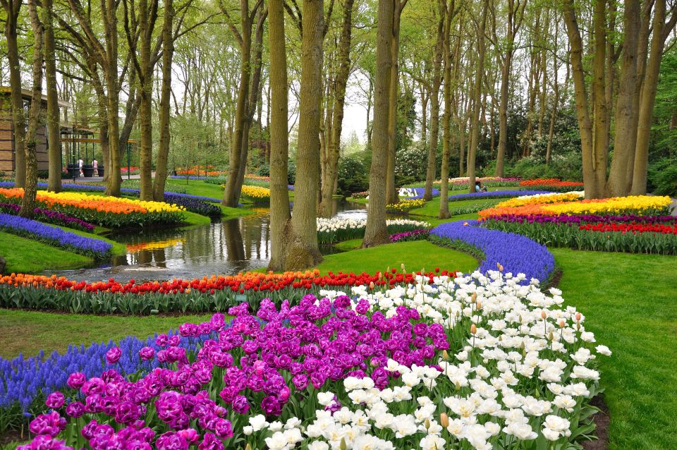 Magical Delft and the Keukenhof Estate: Tulips Galore - Taking in Keukenhof