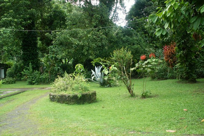 Magical Soufriere: A Tour of St Lucia - Strolling Morne Coubaril Plantation