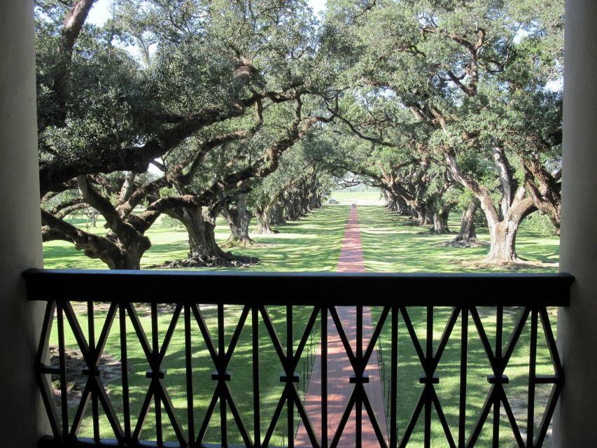 Majestic Oak Alley Plantation Tour - Mansion and Lifestyle