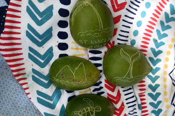 Make Your Own Wooden Bowl From the Fruit of Calabash, National Tree of St Lucia - Meeting Locations