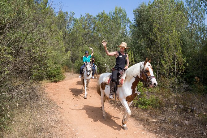 Mallorca Wine and Cheese Tasting - Informal Wine and Cheese Explanations