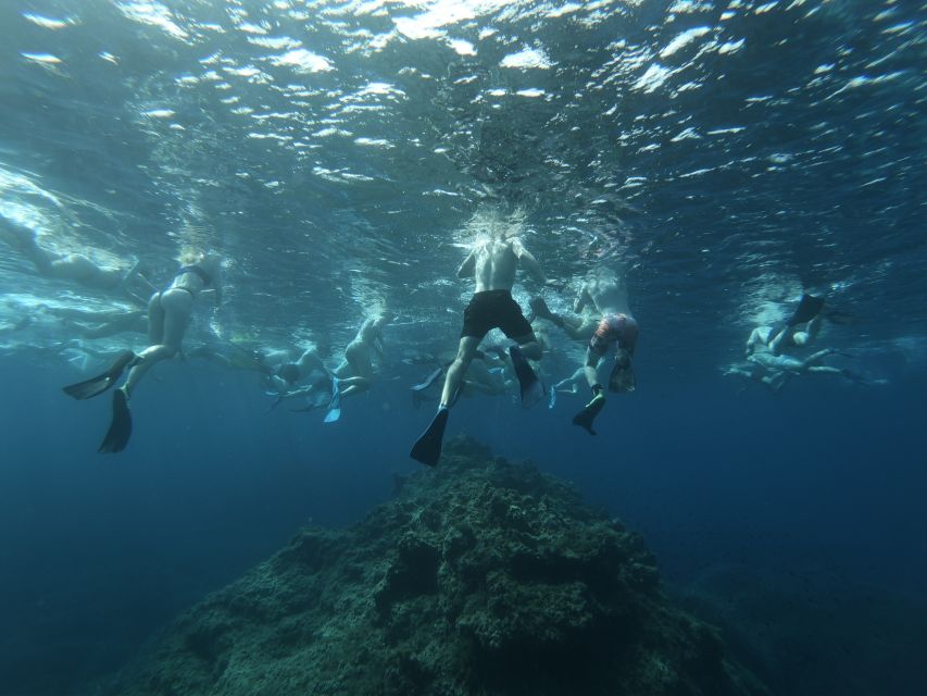 Malta: Snorkeling Tour - Skill Level Adaptations