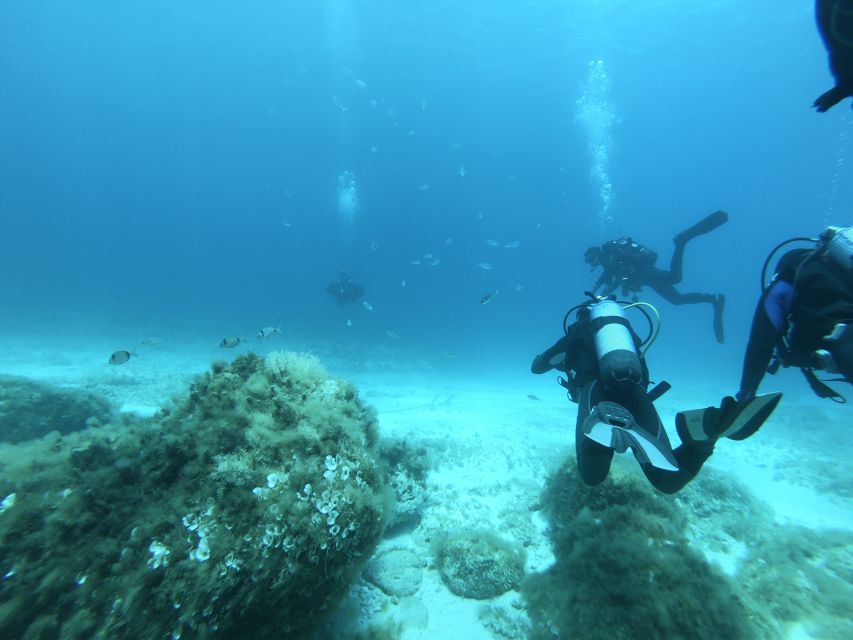 Malta: St. Pauls Bay 1 Day Scuba Diving Course - Inclusions and Exclusions