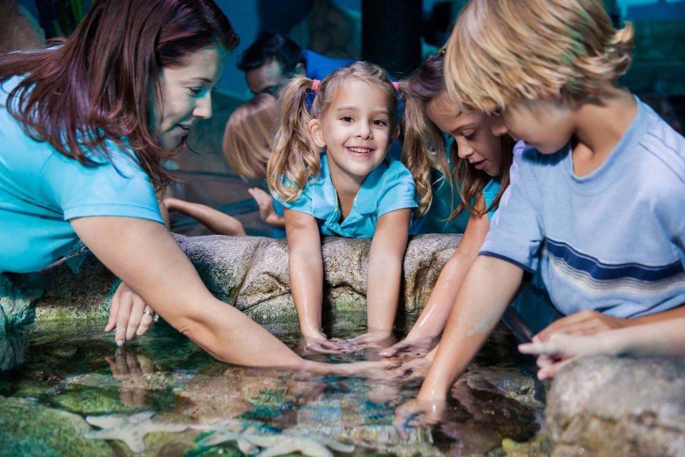 Manchester: SEA LIFE Entrance Ticket - Marveling at Giant Green Sea Turtles