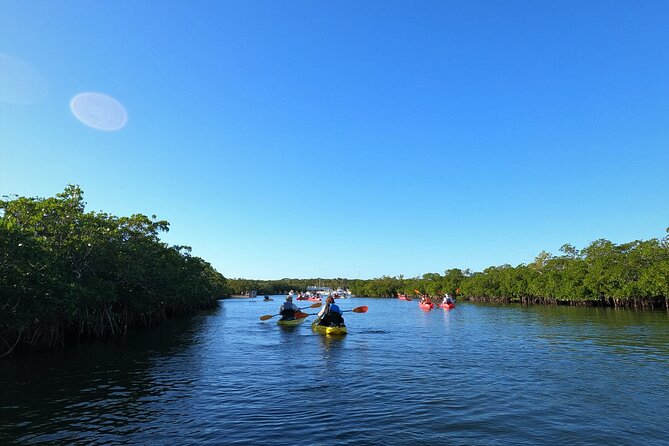 Mangrove Tunnel Kayak Adventure in Key Largo - Exploring Mangrove Tunnels