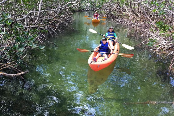 Mangroves and Manatees - Guided Kayak Eco Tour - Meeting Information