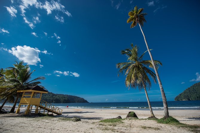 Maracas Beach Trip - Local Food and Drinks