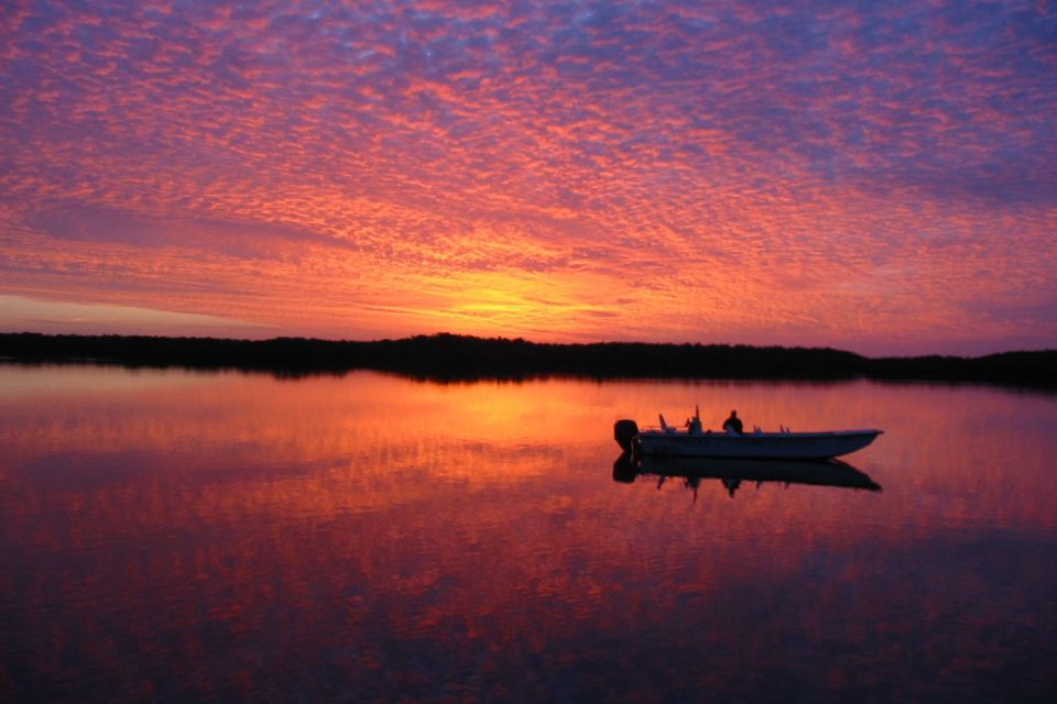 Marco Island: 2-Hour Dolphin, Birding, and Shelling Tour - Customer Reviews