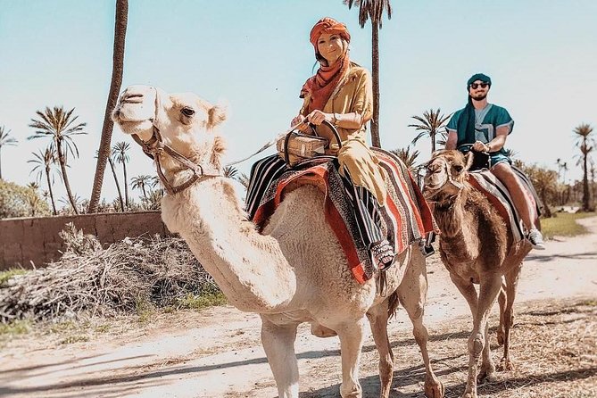 Marrakech Camel Ride Tour - Experience Expectations