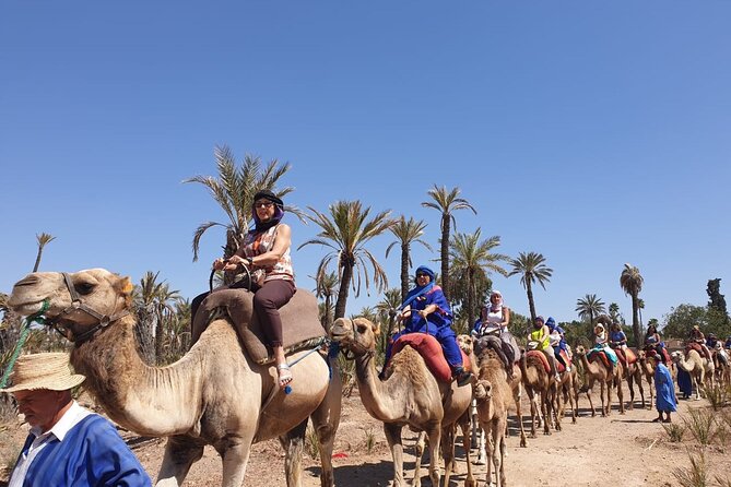 Marrakech Desert Camel Ride - Cancellation and Refund Policy