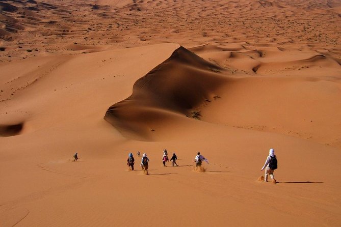 Marrakech Desert Tour to Fes - Meals and Dining Experiences