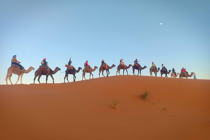 Marrakesh 3 Days Tour to Fez With Overnight Desert Camping - Highlights of the Itinerary