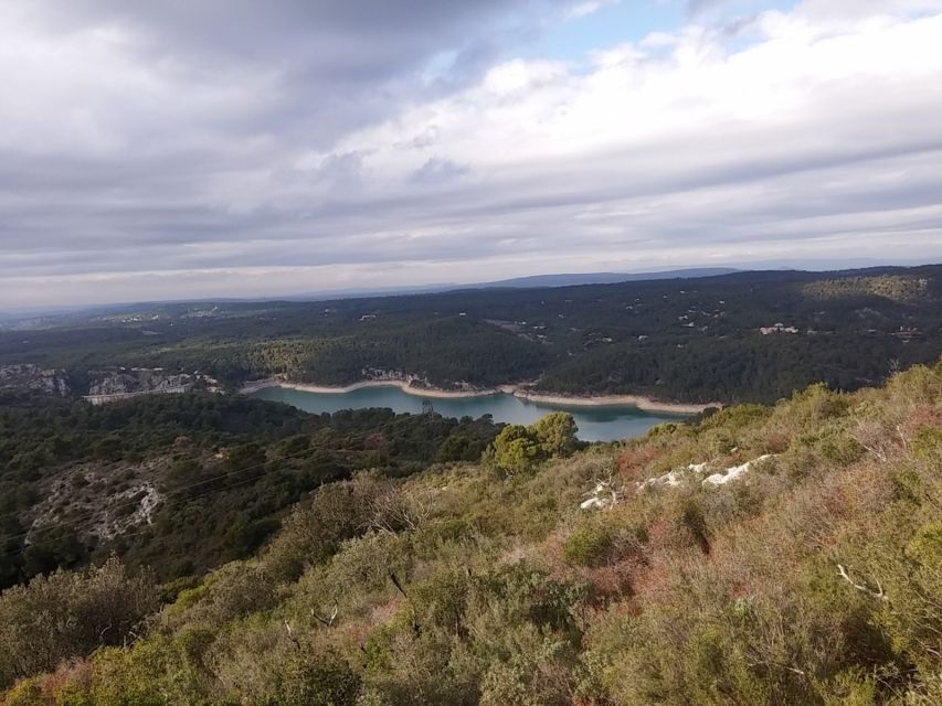 Marseille Vieux Port & Wine Tasting - Private Tour - Panoramic View From Soaring Cliffs