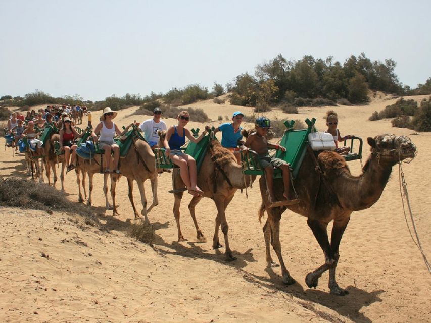 Maspalomas: E-Bike Tour Optional Camel Ride - Participant Restrictions and Requirements