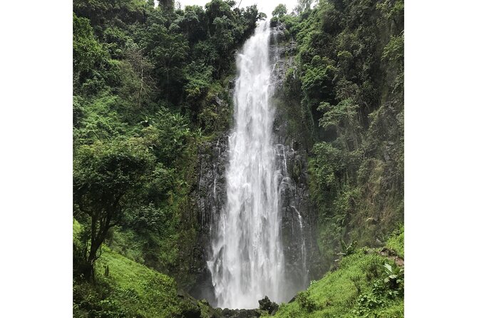 MATERUNI Waterfalls, Coffee Tour & Kikuletwa Hot Springs - Accessibility