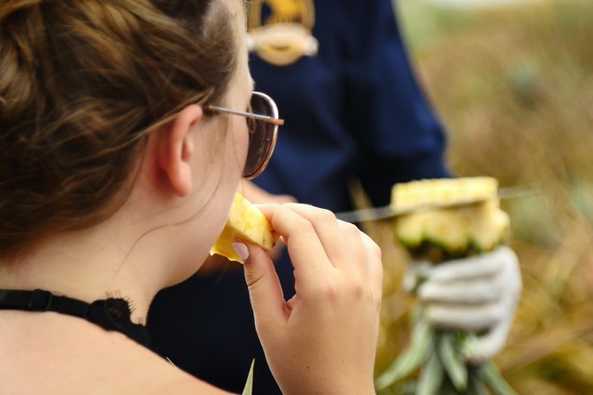 Maui Pineapple Farm Tour in Haliimaile - Pineapple Cultivation and Hawaiian Culture