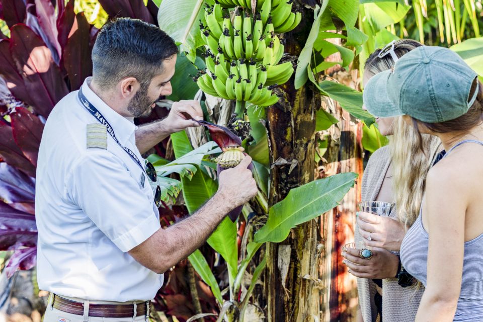 Maui: Road to Hana Helicopter & Waterfall Tour With Landing - Safety Guidelines