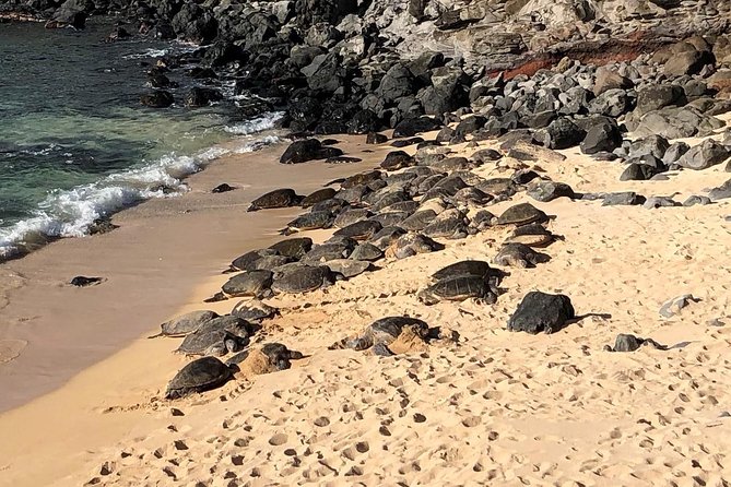 Maui Tour - Road to Hana Adventure Tour - Small Group - Natural Beauty of the Road