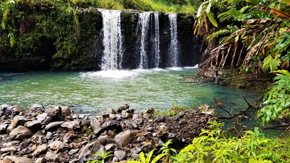 Maui Tropical Rainforest Eco Tour With Lunch - Paia Town Break and Lunch