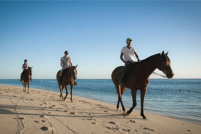 Mauritius Horse Riding at Riambel - Confirmation and Accessibility