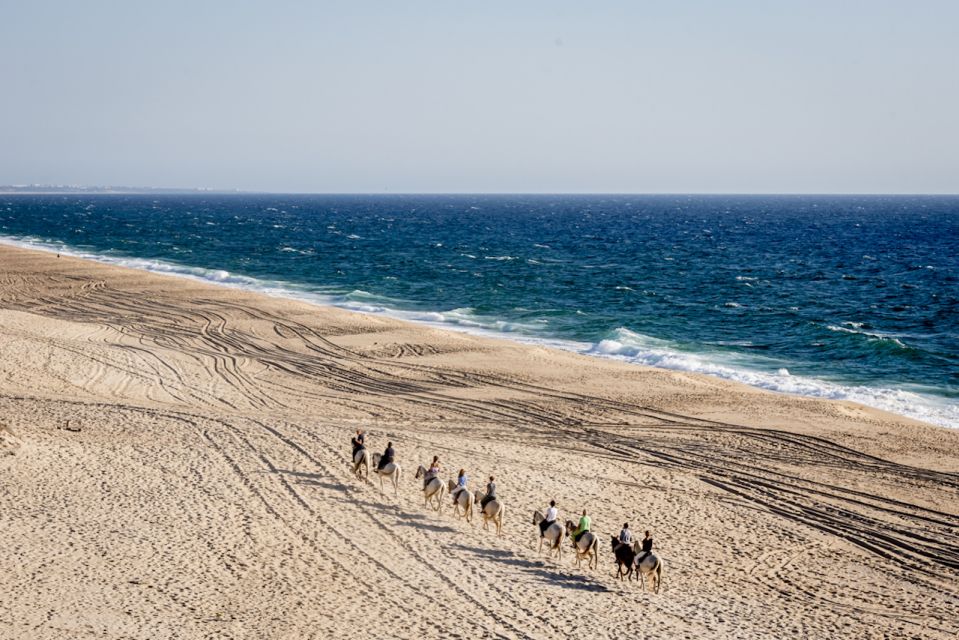 Melides: Horse Riding on the Beach With Wine Tasting - Recap