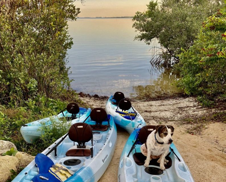 Merritt Island: Guided Kayak or SUP Tour Along Banana River - Preparing for the Adventure